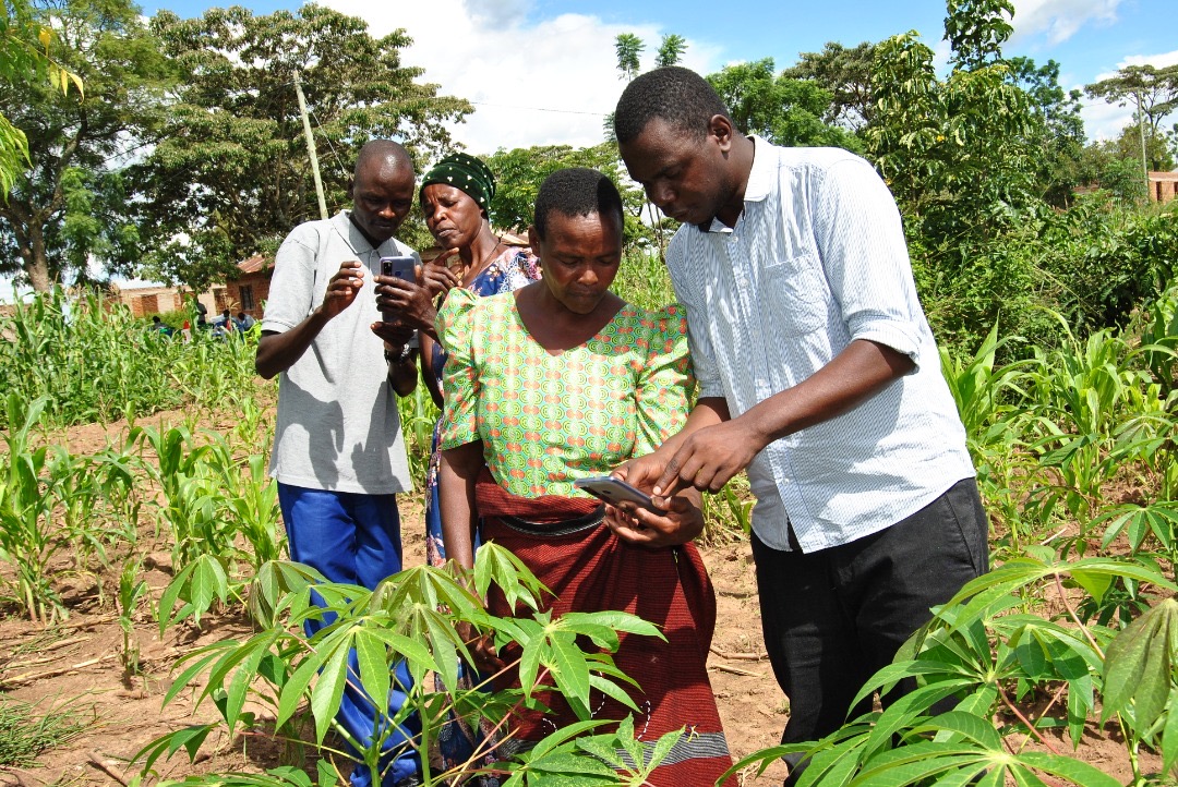 Using technology to aid farming in rural Tanzania
